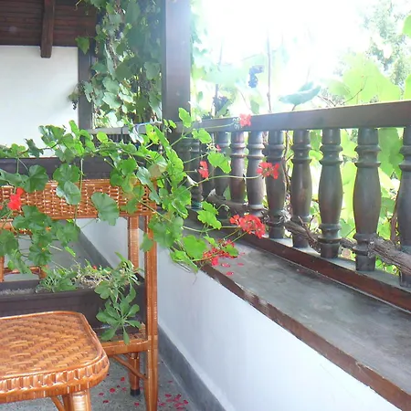 типик Penzion 2*